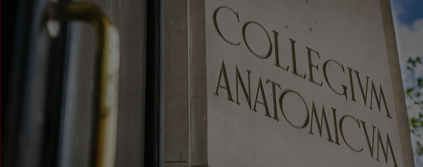 collegium-amatomicum