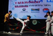 Taekwondo (Korea)