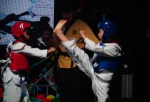 Taekwondo (Korea)