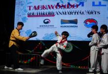 Taekwondo performance